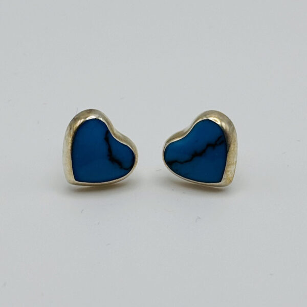 Sodalite Radiance: Exclusive Earrings